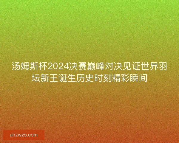 汤姆斯杯2024决赛巅峰对决见证世界羽坛新王诞生历史时刻精彩瞬间